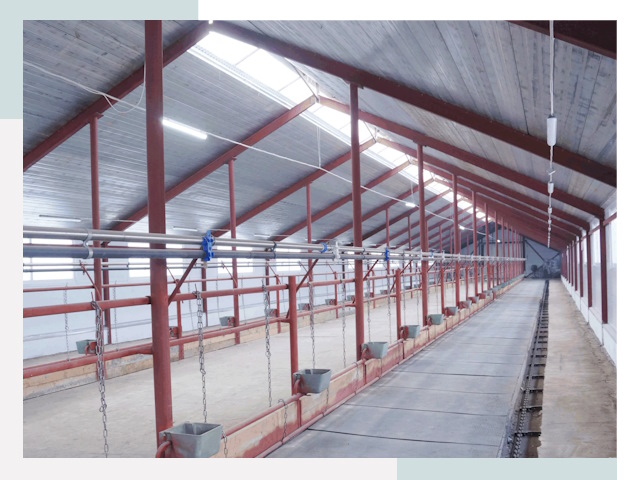 Строительство коровников в Зеленокумске от 611 руб.