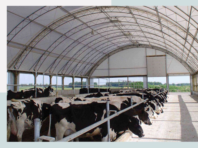 Тентовые коровники в Зеленокумске